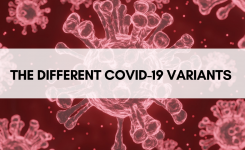 (COVID-19 WATCH): The Different COVID-19 Variants and What We Know