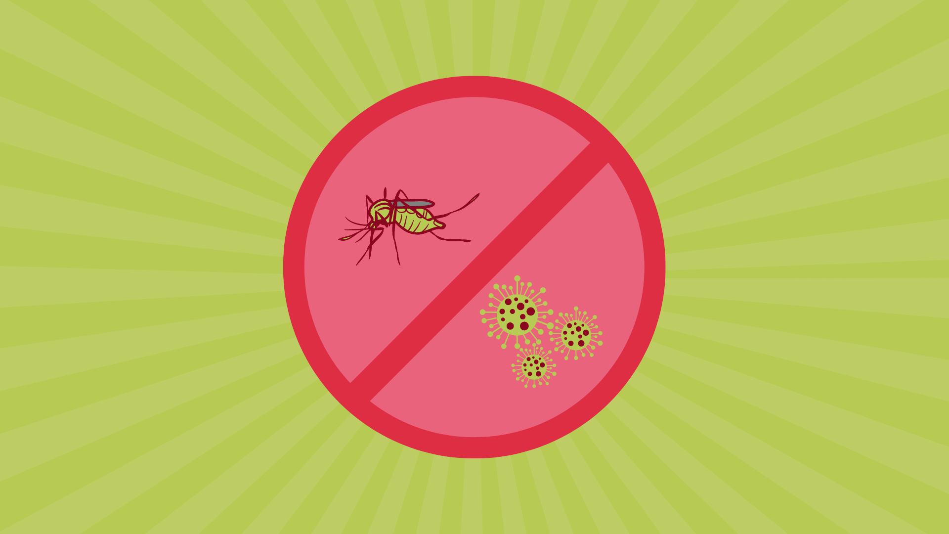 dengue COVID-19