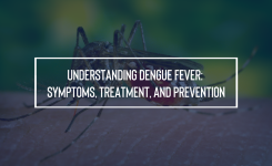 Understanding Dengue Fever: Symptoms, Treatment, and Prevention