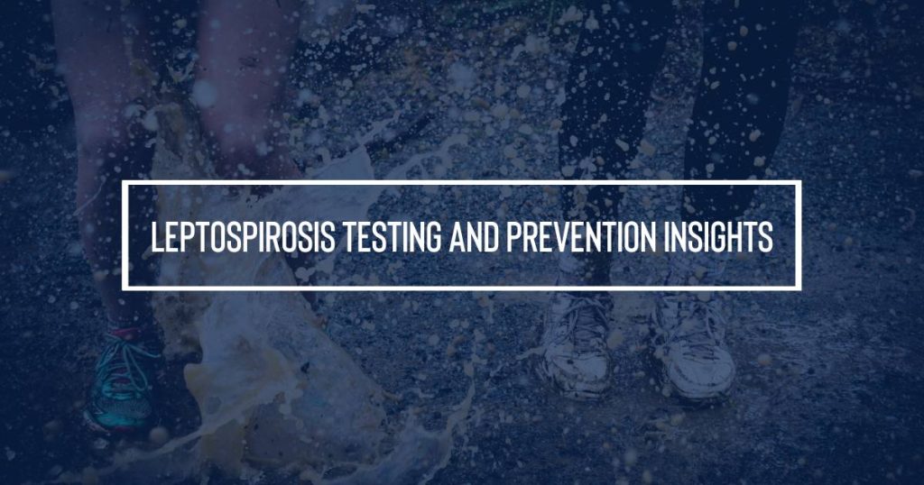 Leptospirosis testing and prevention insignts
