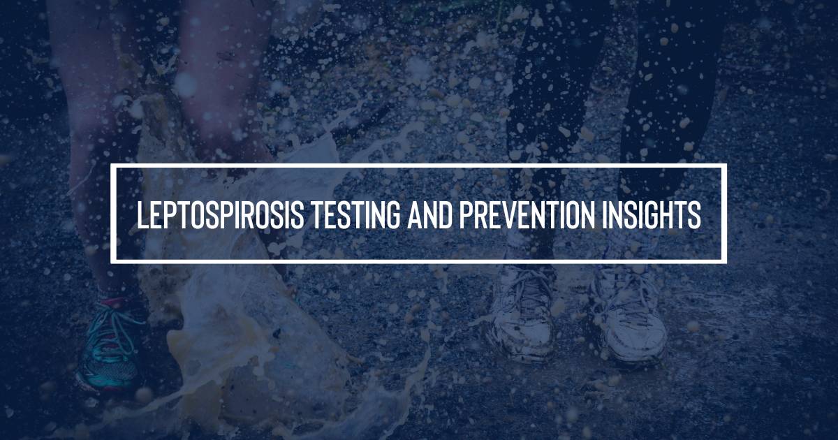 Leptospirosis testing and prevention insignts